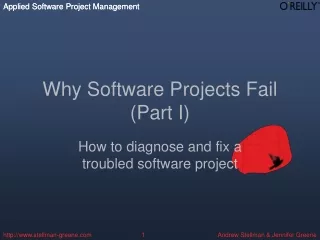 Why Software Projects Fail (Part I)