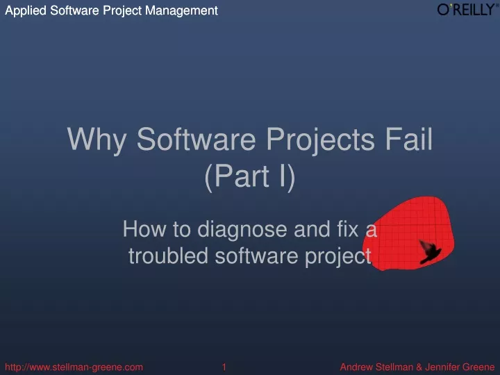why software projects fail part i