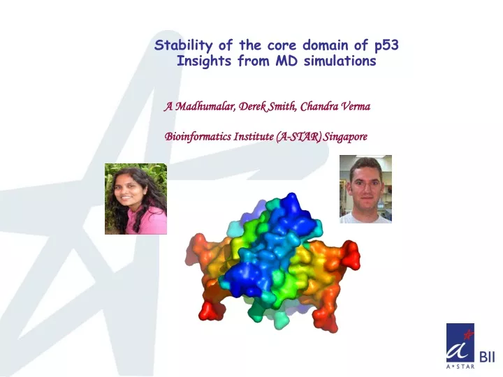 stability of the core domain of p53 insights from