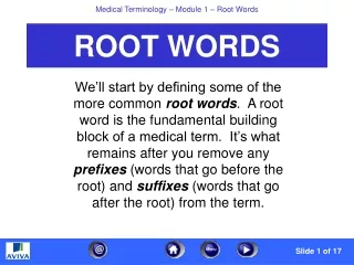 ROOT WORDS