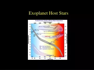 Exoplanet Host Stars