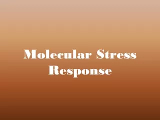 Molecular Stress Response