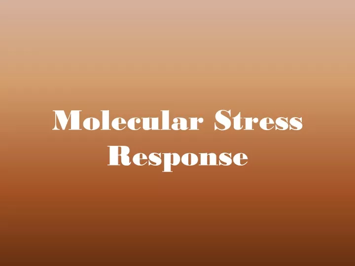 molecular stress response
