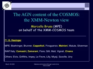 The AGN content of the COSMOS:  the XMM-Newton view