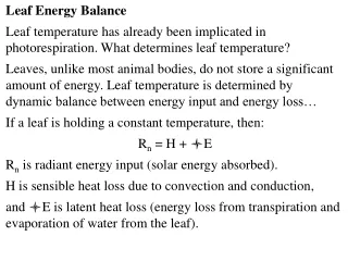Leaf Energy Balance