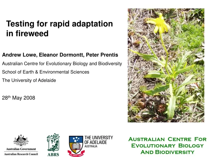 testing for rapid adaptation in fireweed