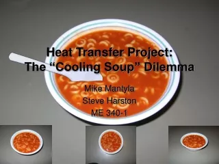 Heat Transfer Project:  The “Cooling Soup” Dilemma