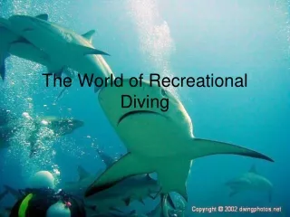 The World of Recreational Diving