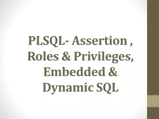 PLSQL- Assertion , Roles &amp; Privileges, Embedded &amp; Dynamic SQL