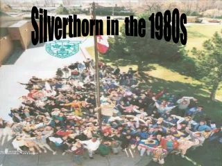 Silverthorn in  the 1980s