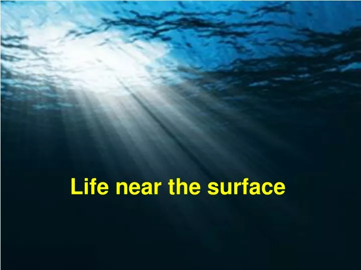life near the surface