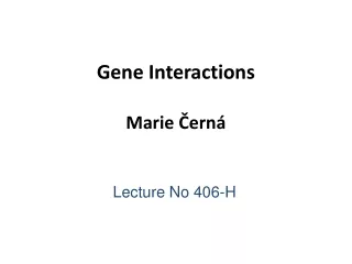 Gene Interactions Marie Černá