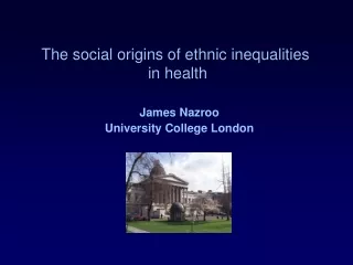 The social origins of ethnic inequalities  in health
