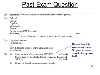 Past Exam Question