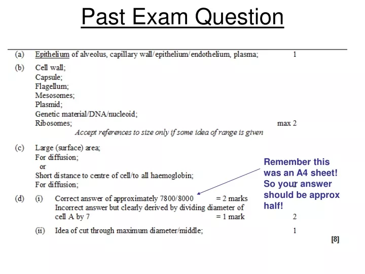 past exam question