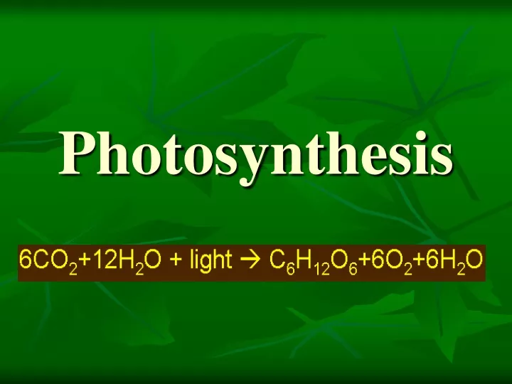 photosynthesis