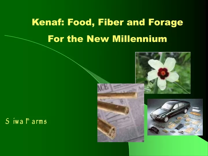 kenaf food fiber and forage for the new millennium