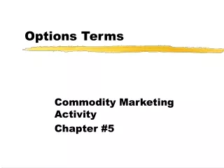 Options Terms
