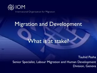 Migration and Development What is at stake? Tauhid Pasha