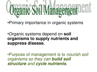 Primary importance in organic systems