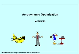 Aerodynamic Optimisation V. Selmin