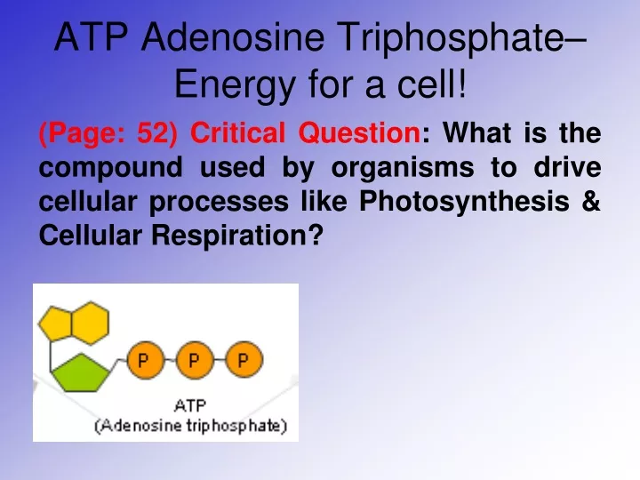 atp adenosine triphosphate energy for a cell