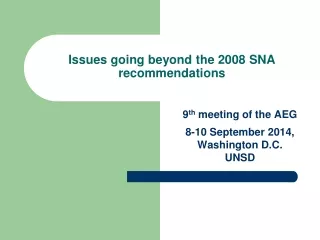 Issues going beyond the 2008 SNA recommendations