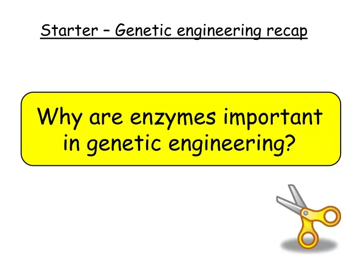 why are enzymes important in genetic engineering