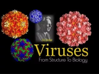 What is a Virus?
