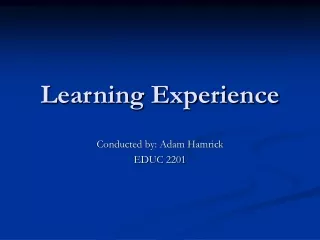 Learning Experience
