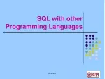 SQL with other Programming Languages - slide 1