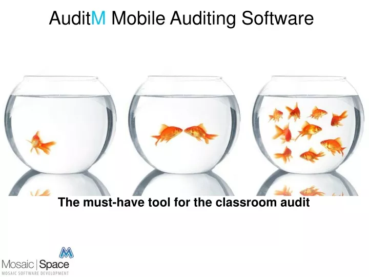the must have tool for the classroom audit