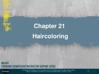 Chapter 21  Haircoloring