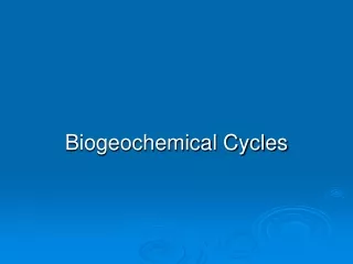 Biogeochemical Cycles