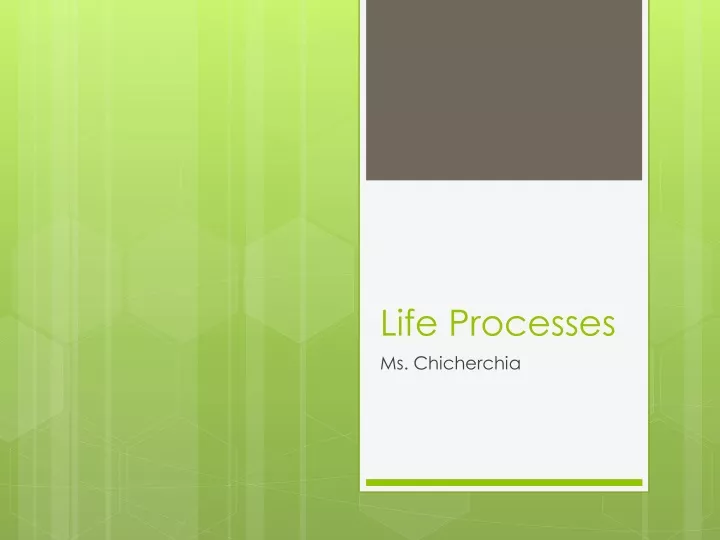 life processes