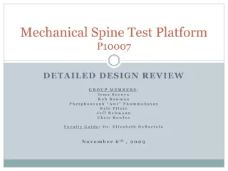 Mechanical Spine Test Platform P10007
