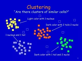 “ Are there clusters of similar cells?”