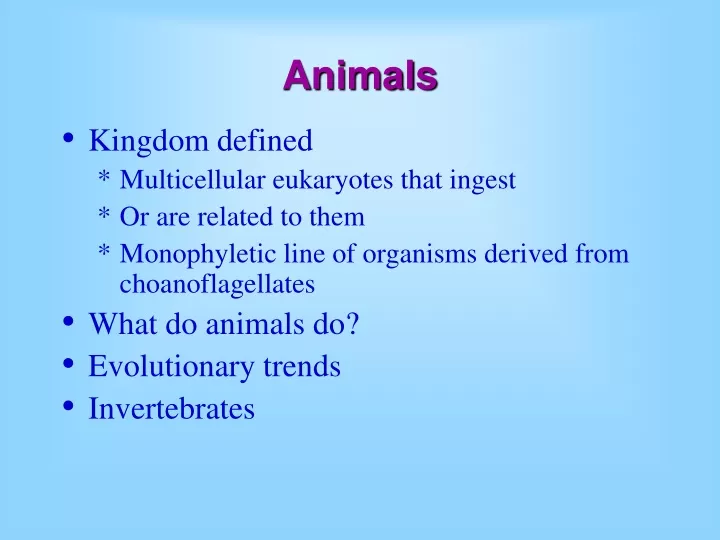 animals