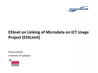 ESSnet on Linking of Microdata on ICT Usage Project (ESSLimit)