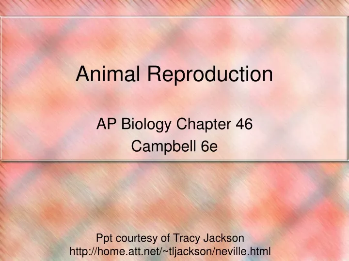 animal reproduction