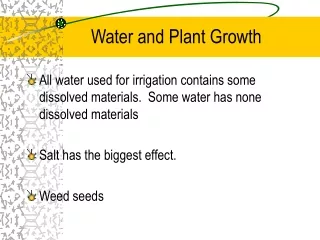 Water and Plant Growth
