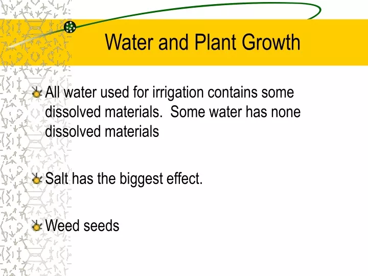 water and plant growth