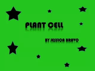 Plant Cell