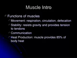 Muscle Intro