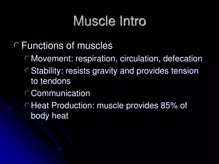 muscle intro
