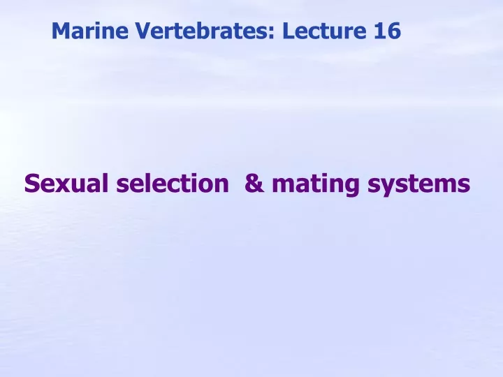 marine vertebrates lecture 16