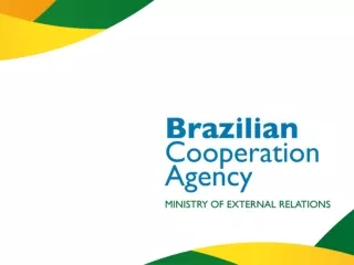 Panelist:  Deputy Director João Tabajara de Oliveira Jr.