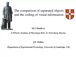 The comparison of separated objects and the coding of visual information