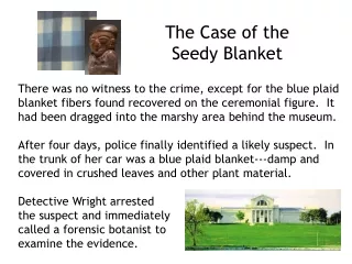 The Case of the Seedy Blanket