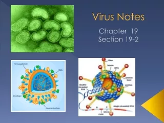 Virus Notes